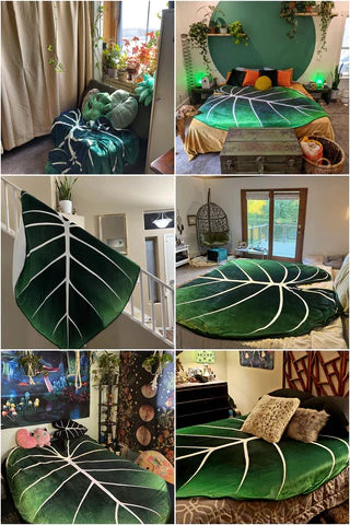 Philodendron Gloriosum Decke - Die entzückende Decke mit einzigartigem Design